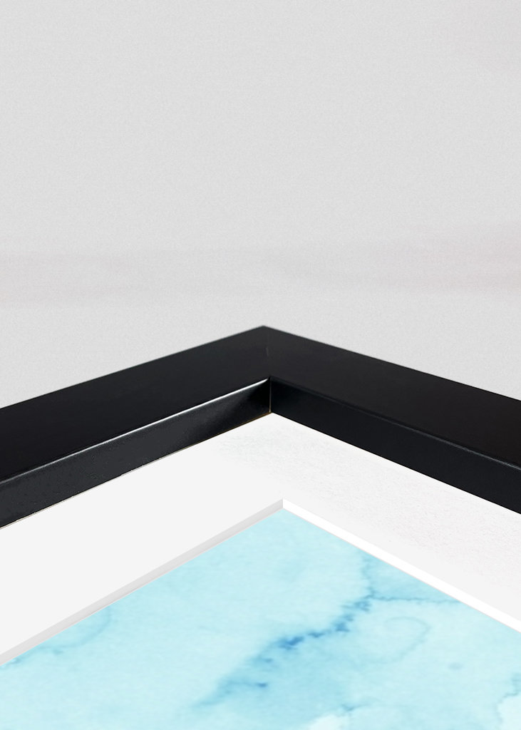 Disegno a inchiostro colorato del passero domestico