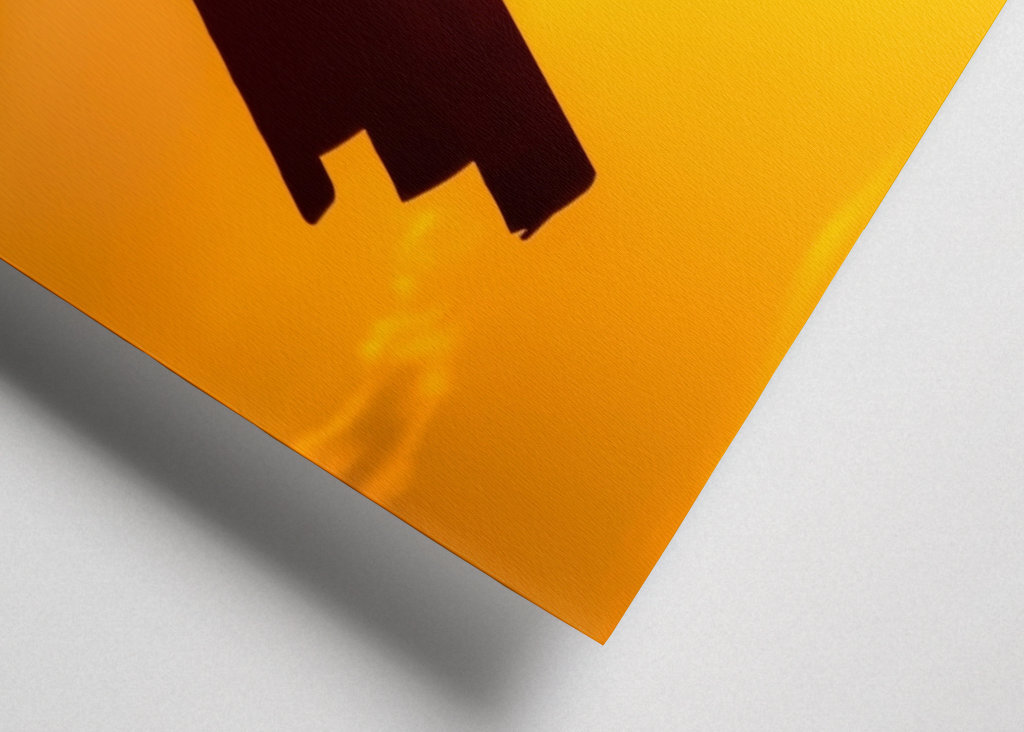 Gamle fly i sollyset