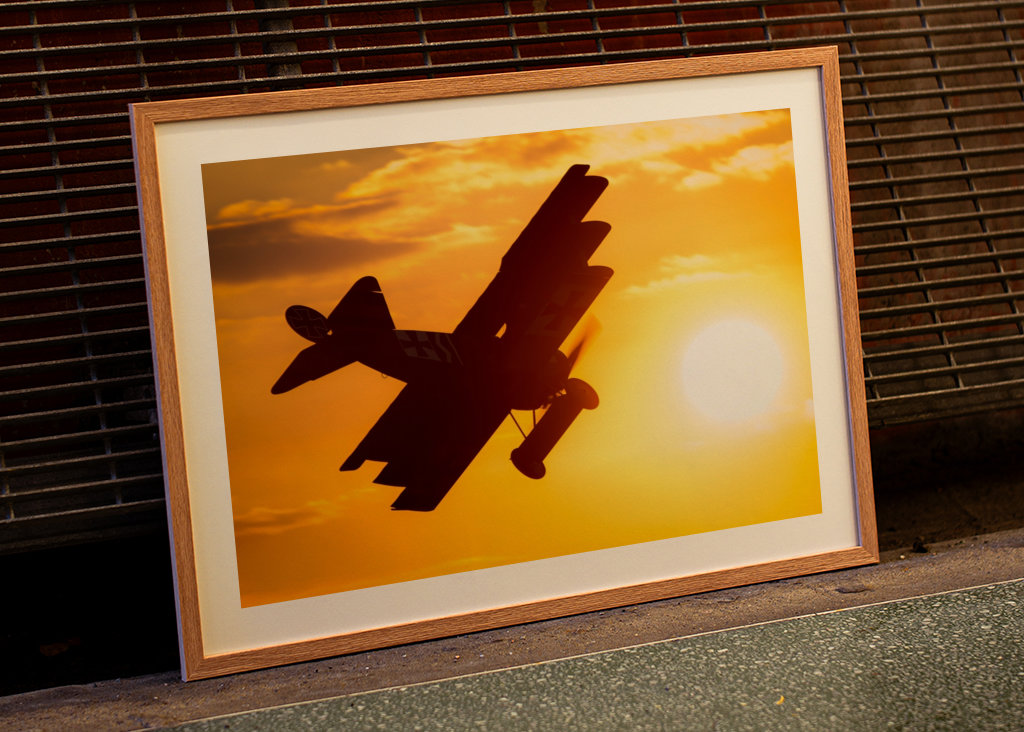 Gamle fly i sollyset