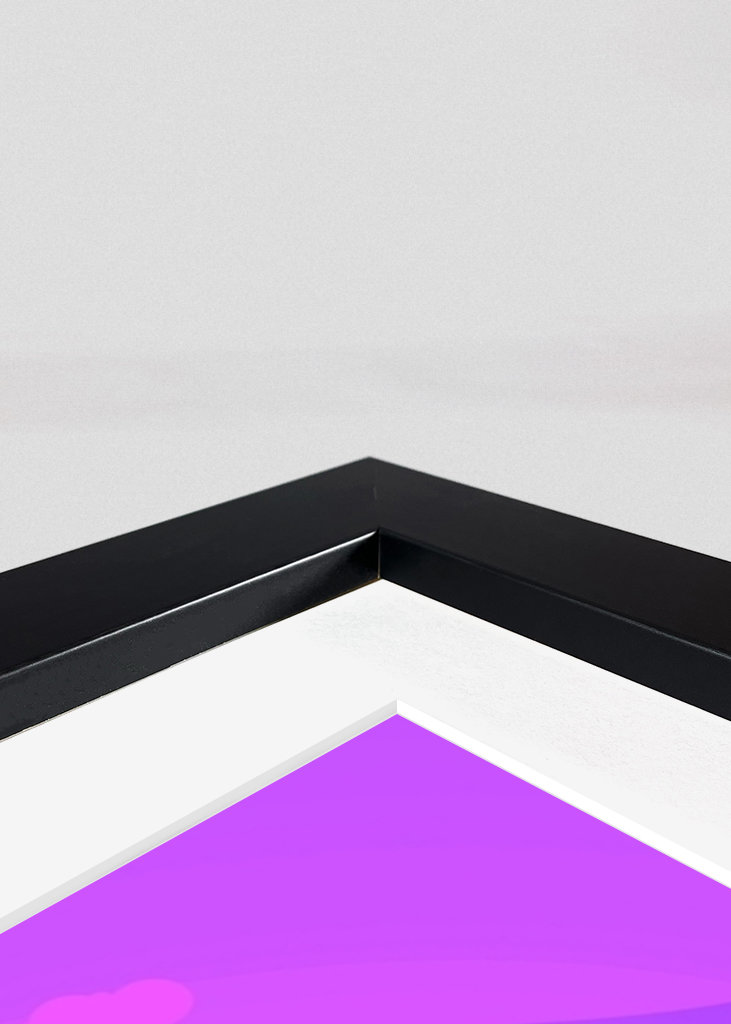 Kocho Shinobu Silhouette