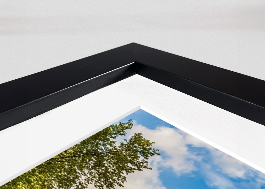 Case galleggianti ad Amsterdam