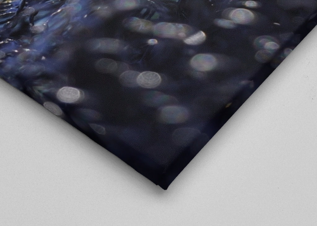 Fishing net on the water