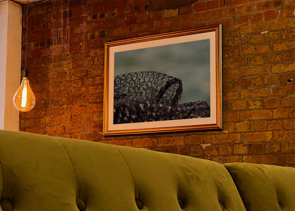 Fishing net on the water