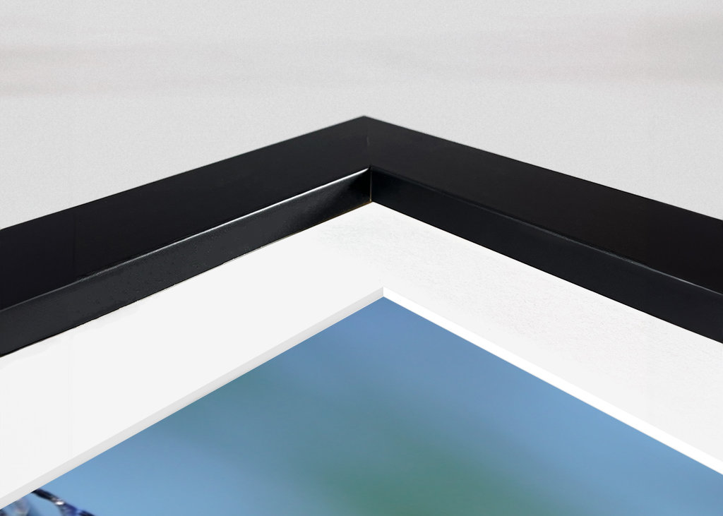 Fishing net on the water