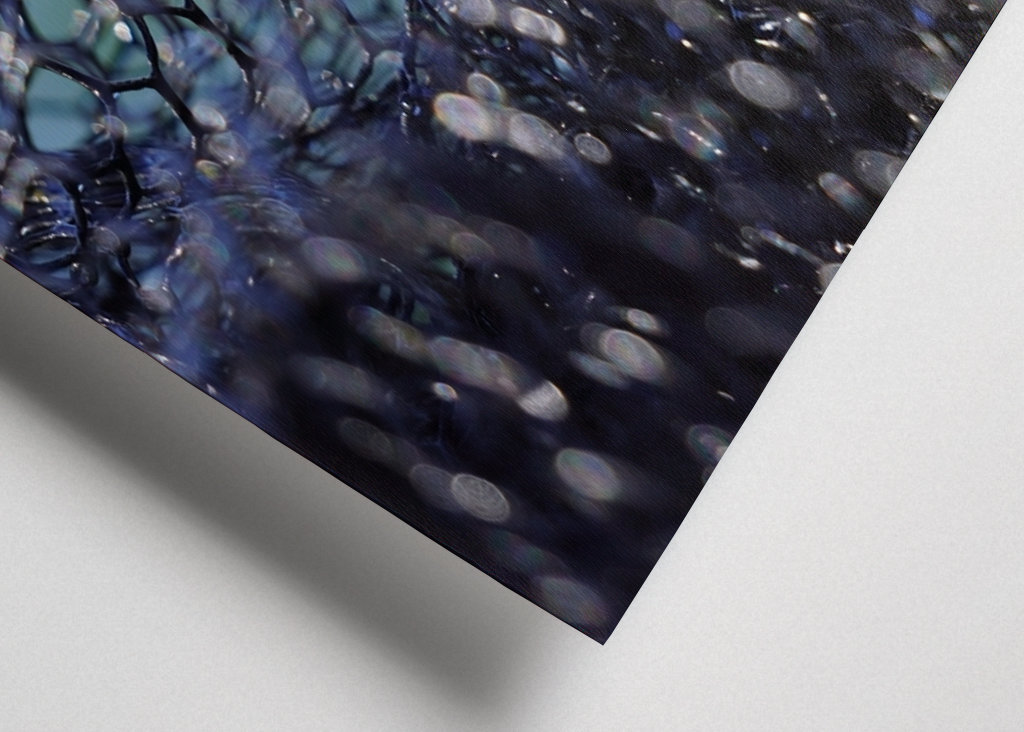 Fishing net on the water