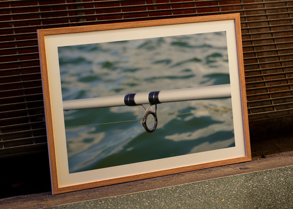 Fishing rod on the water