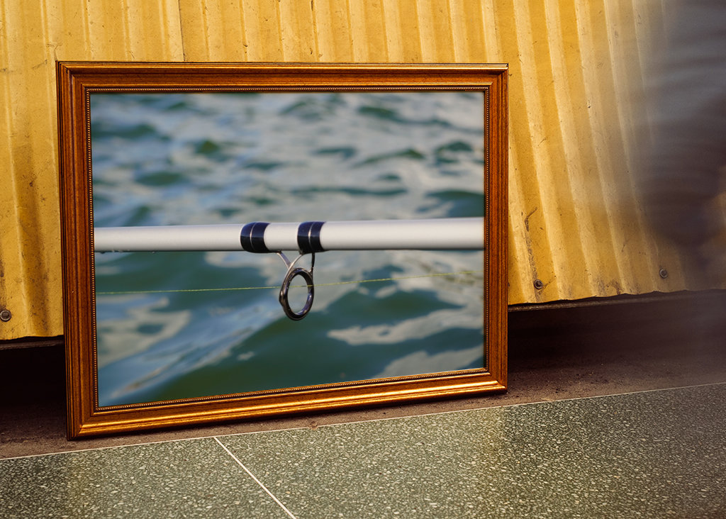 Fishing rod on the water