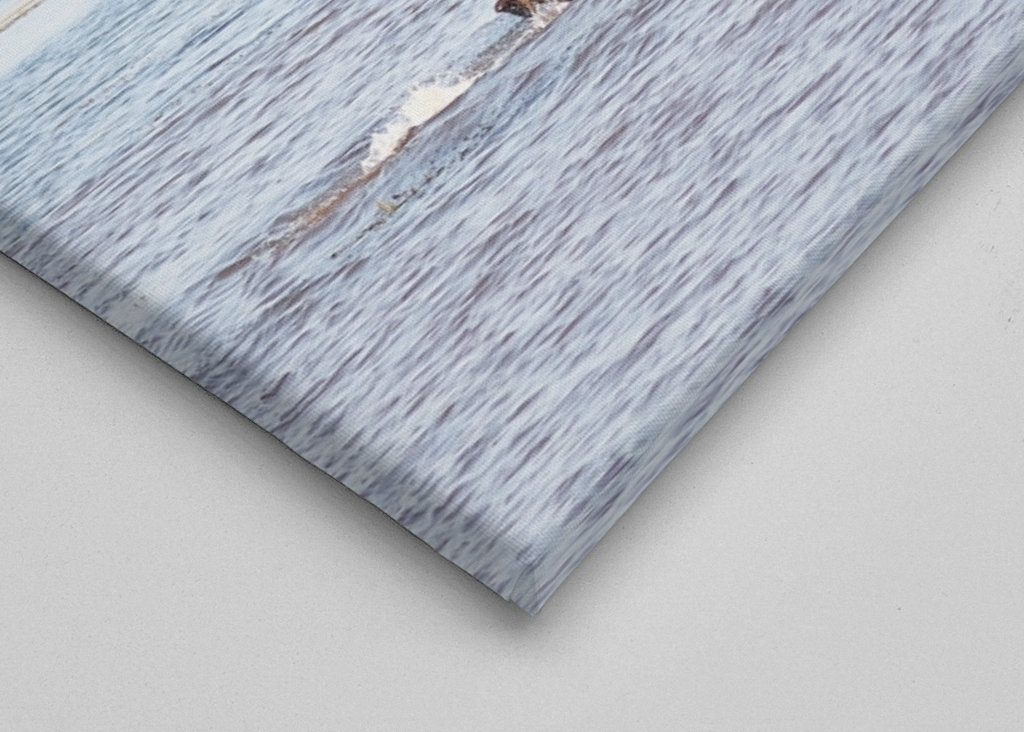 Baigner les éléphants