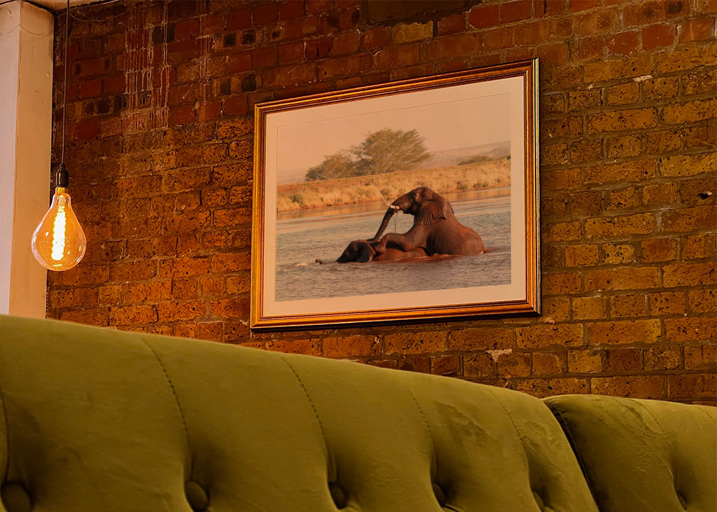 Baigner les éléphants