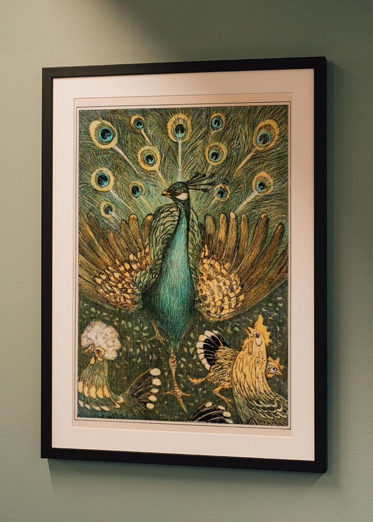 peacock and chickens