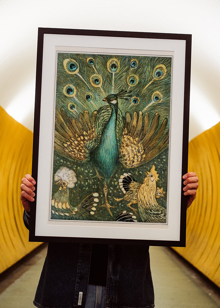 peacock and chickens