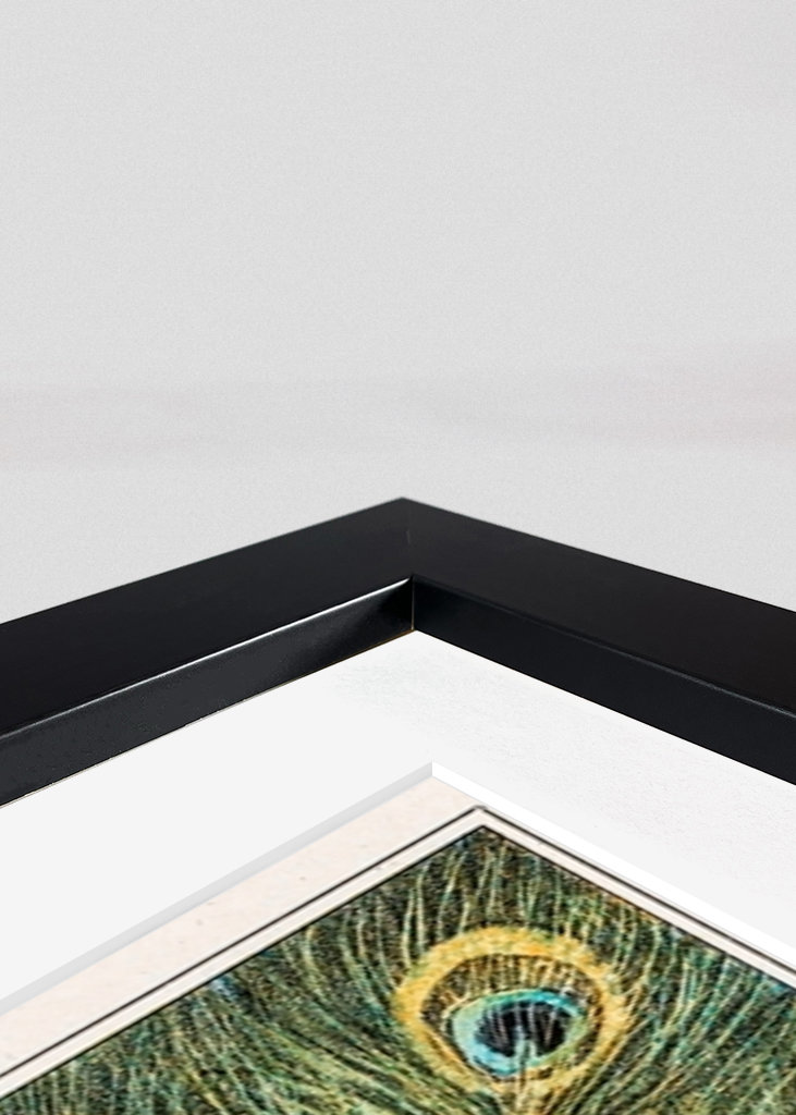 peacock and chickens