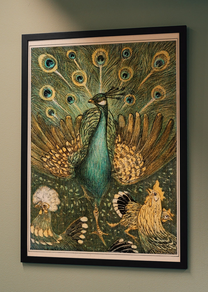 peacock and chickens
