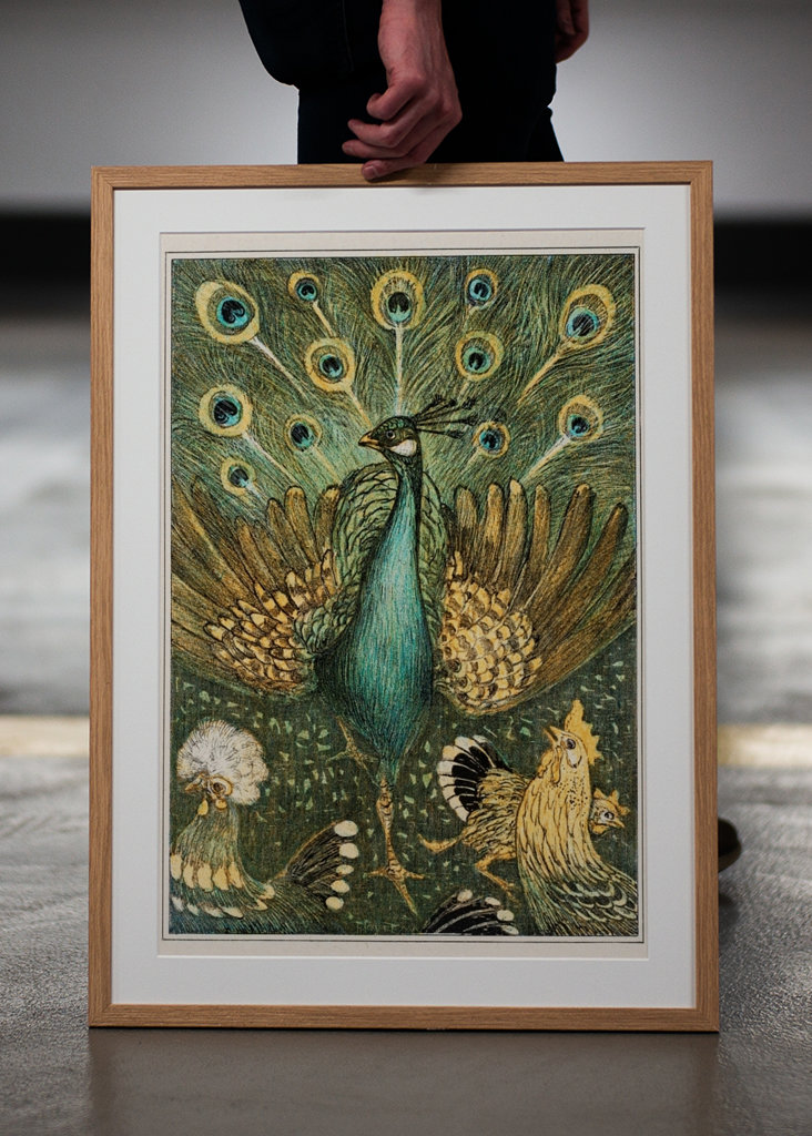 peacock and chickens