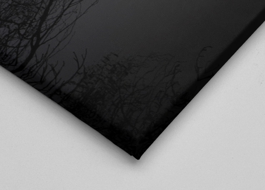 A mallard swimming in the fog