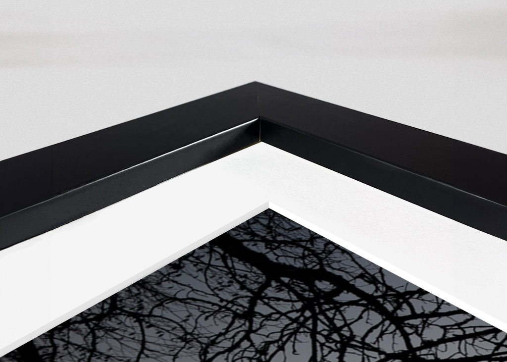 A mallard swimming in the fog