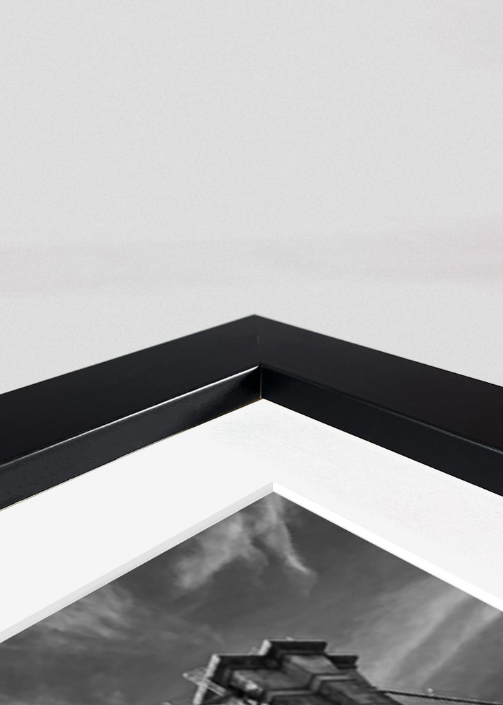 Ponte di Brooklyn i svartvitt