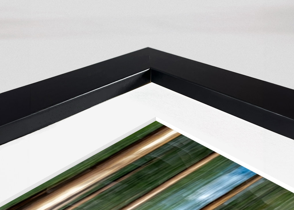 Kiefernwald - Verwischt