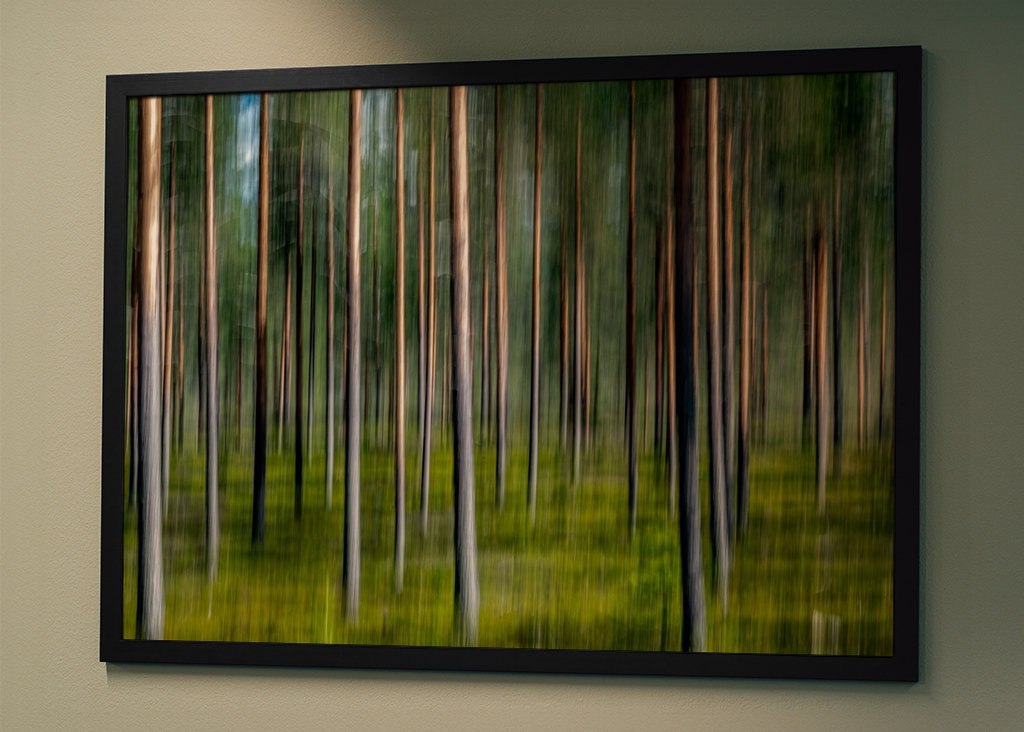 Kiefernwald - Verwischt