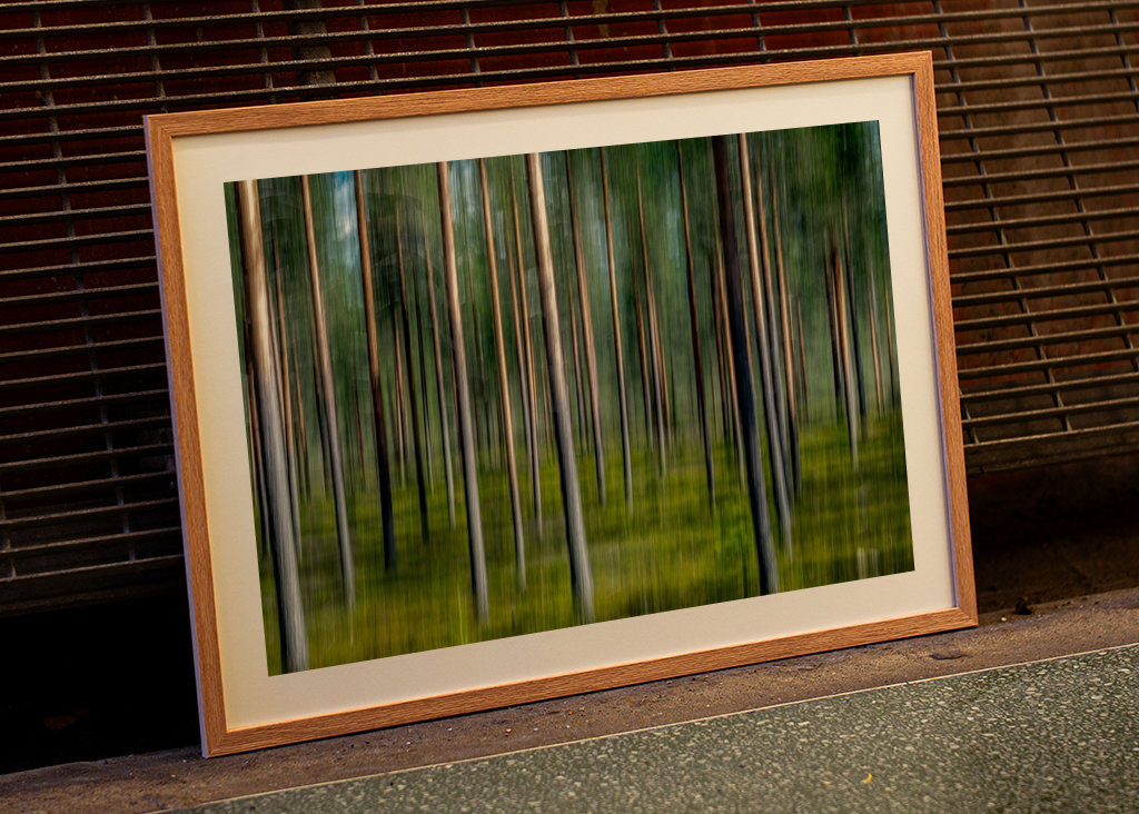 Kiefernwald - Verwischt