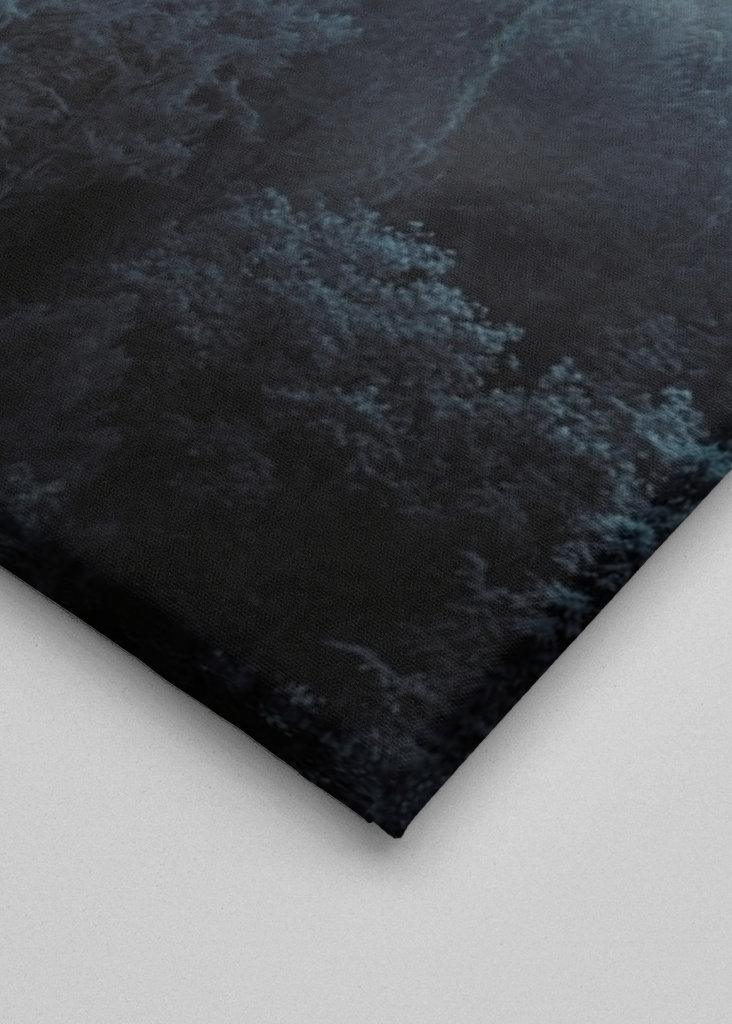 Mlžný les a hejno ptáků