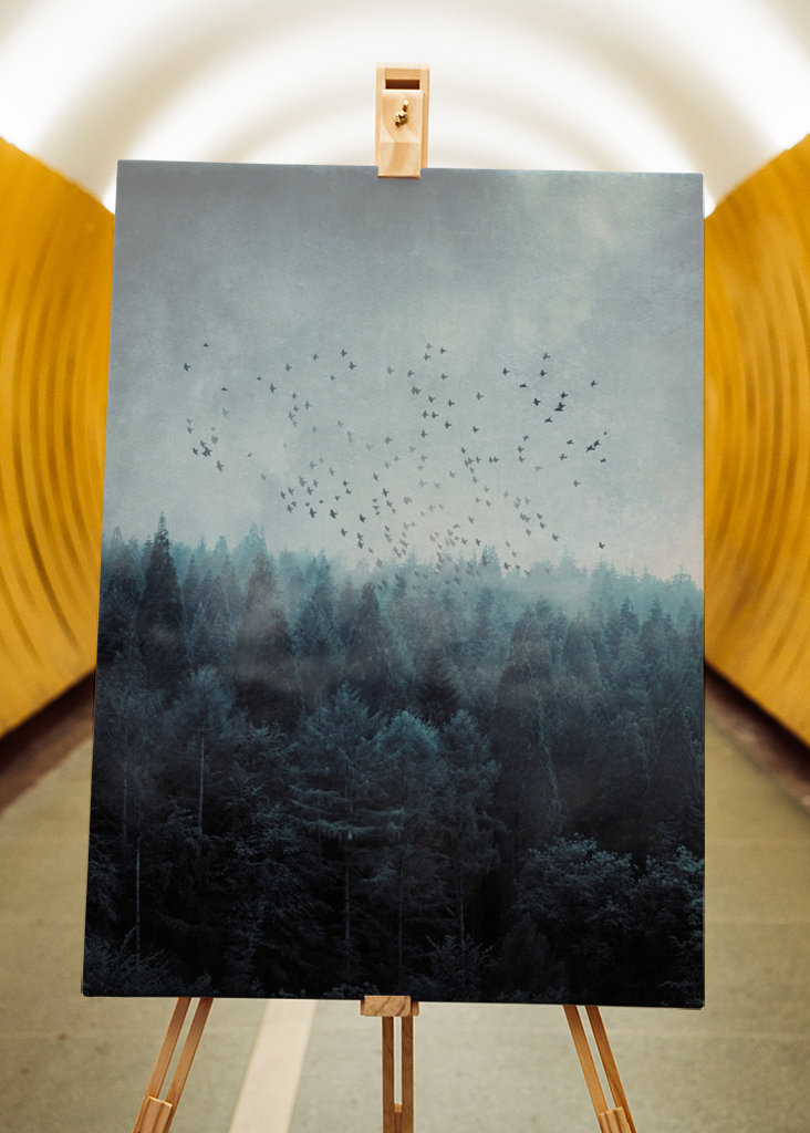 Mlžný les a hejno ptáků