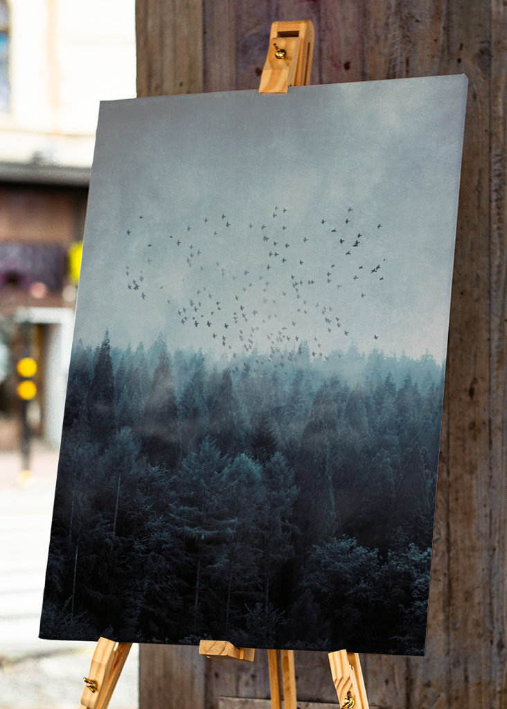 Mlžný les a hejno ptáků