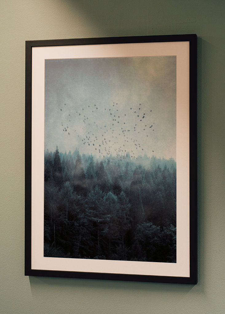 Mlžný les a hejno ptáků