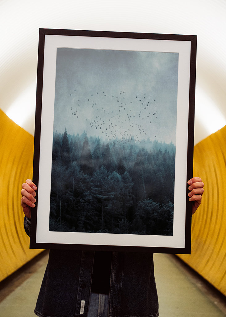 Mlžný les a hejno ptáků