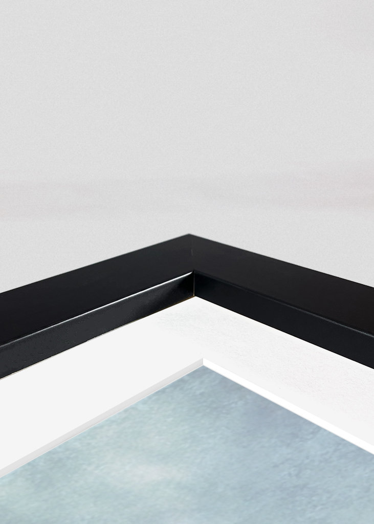 Mlžný les a hejno ptáků