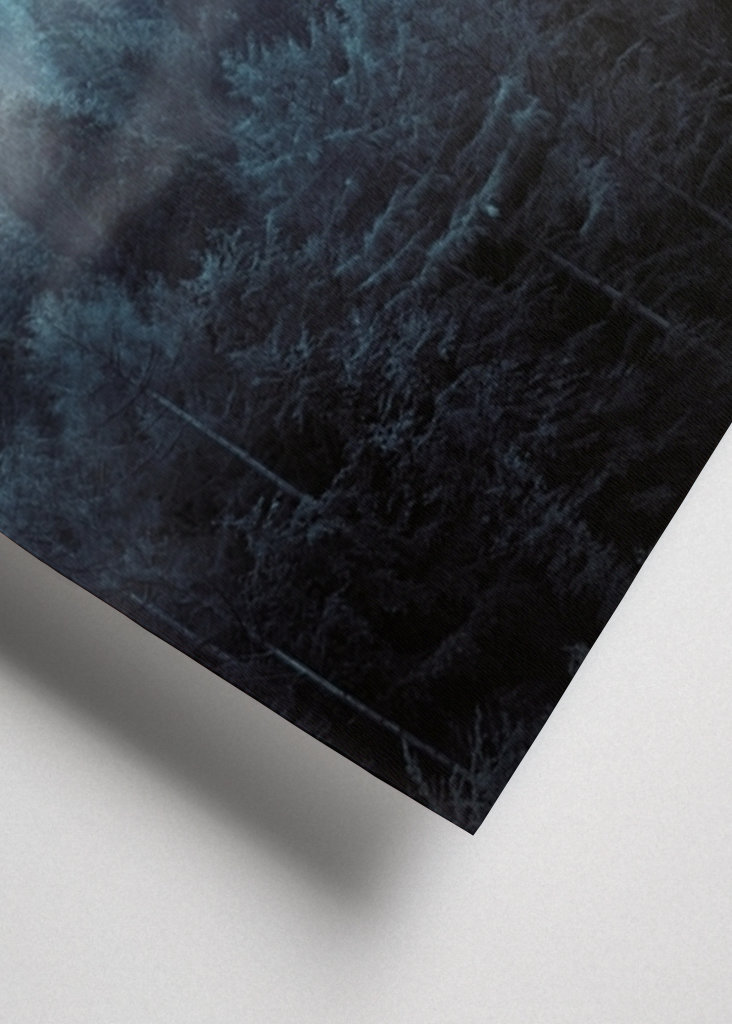 Mlžný les a hejno ptáků