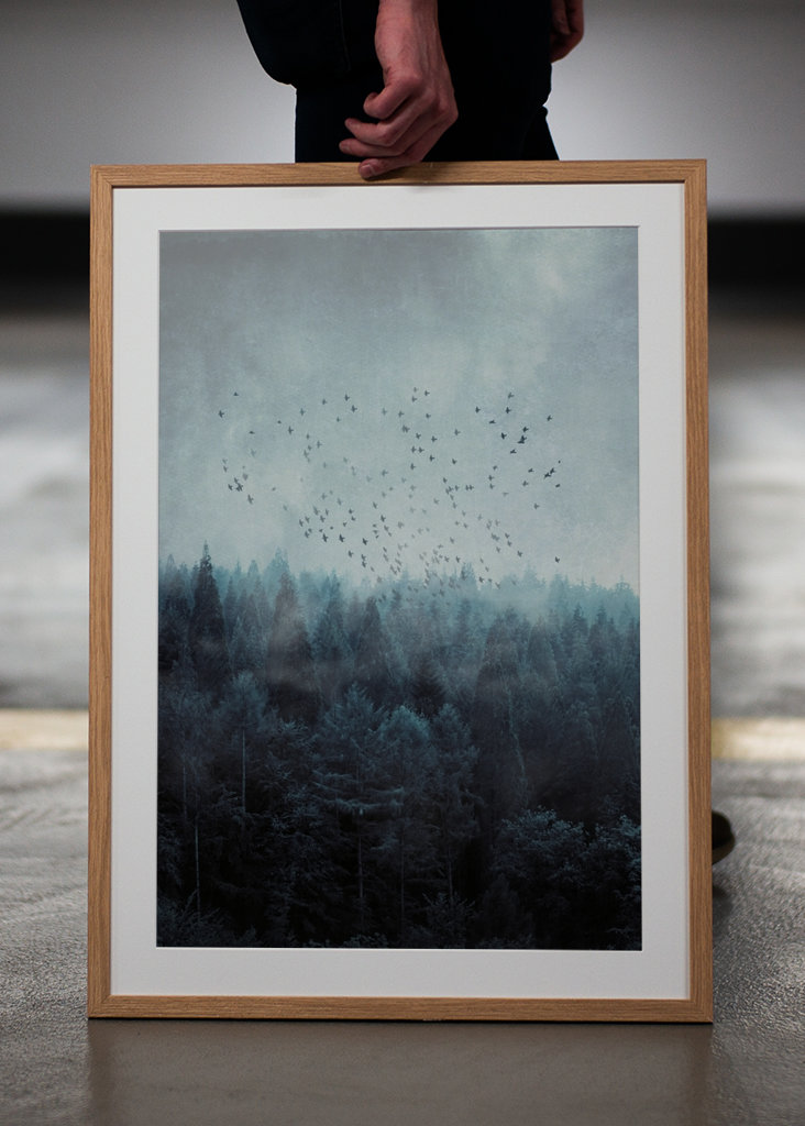 Mlžný les a hejno ptáků