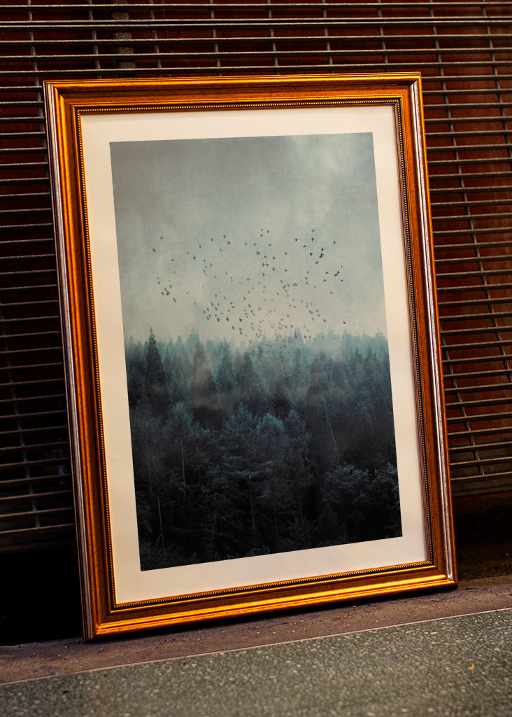 Mlžný les a hejno ptáků