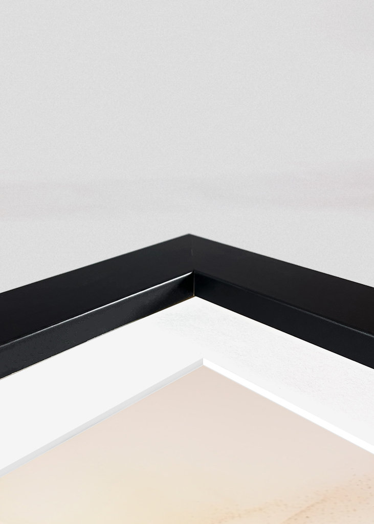 Herbarium med blomster og blomster