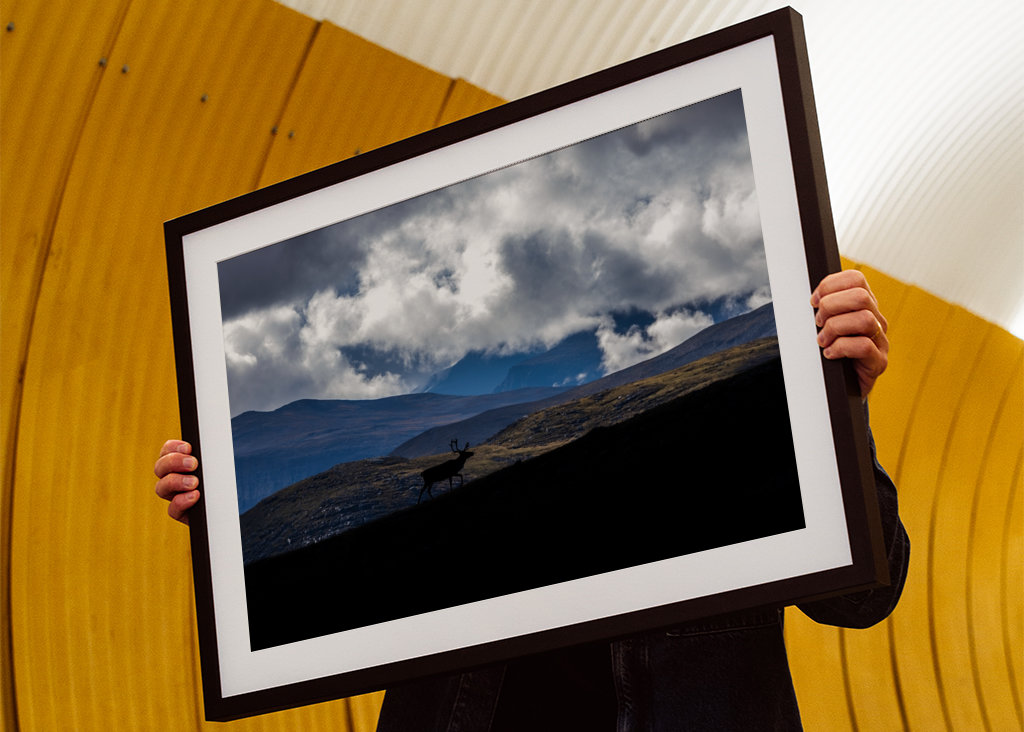 Las Cordillera Escandinava