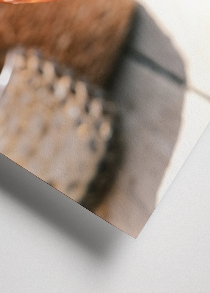 Refreshing orange cocktail