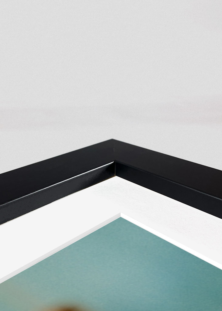 Refreshing Water with mint