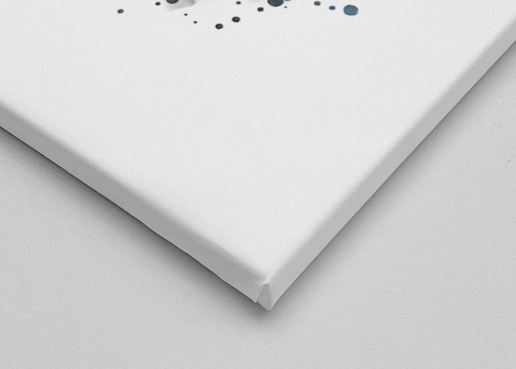 A brooding silver tern