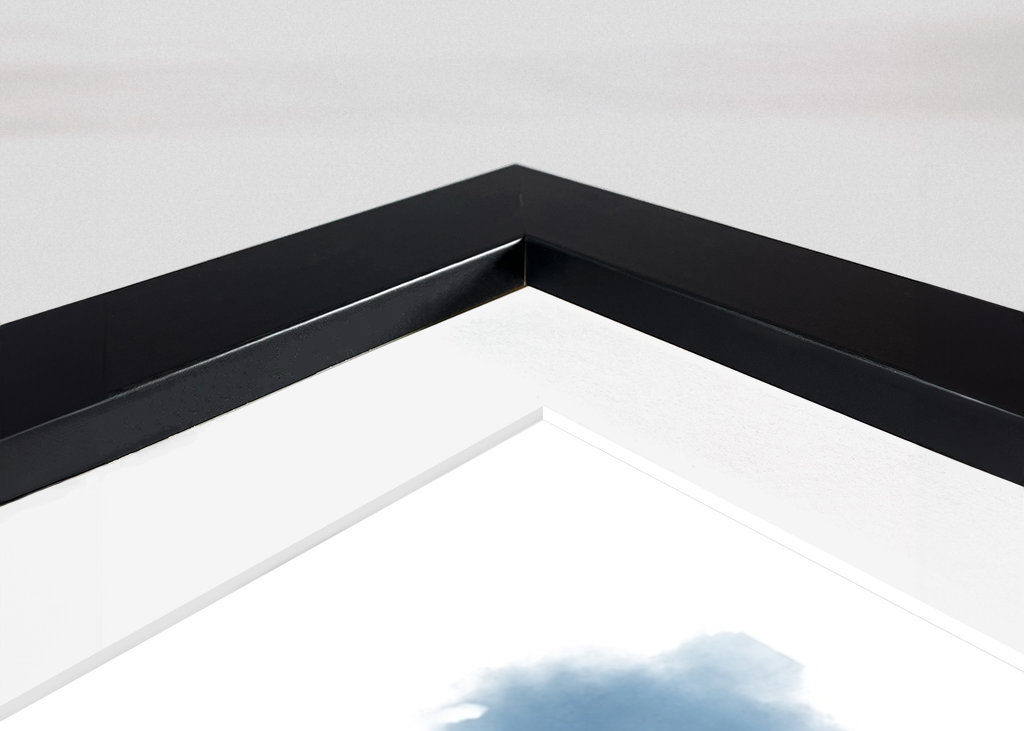 A brooding silver tern