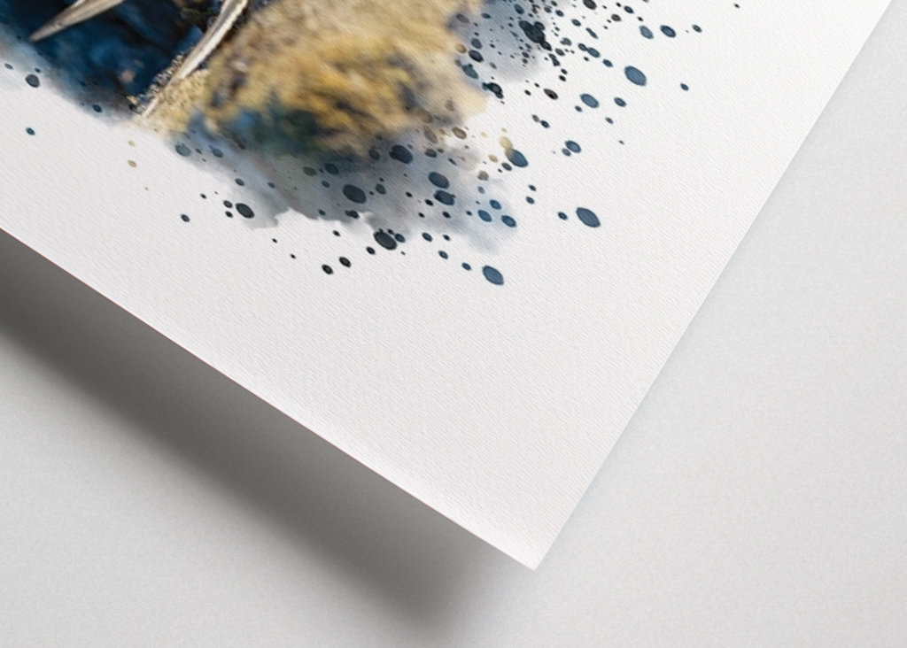 A brooding silver tern