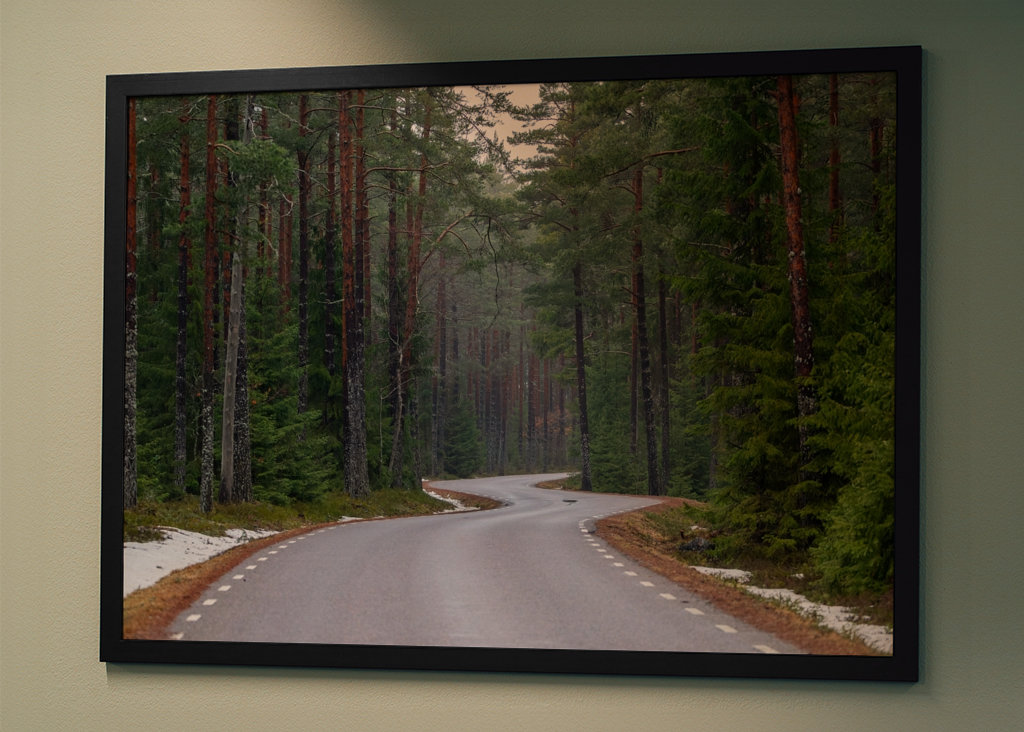 Winding road in the forest