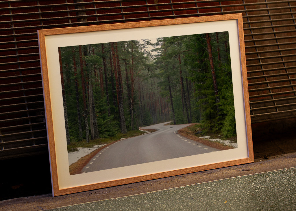 Winding road in the forest