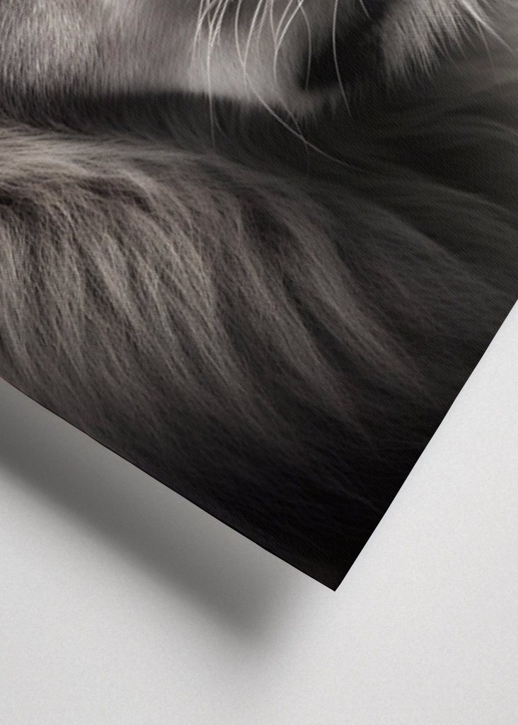 Majestätischer Löwe