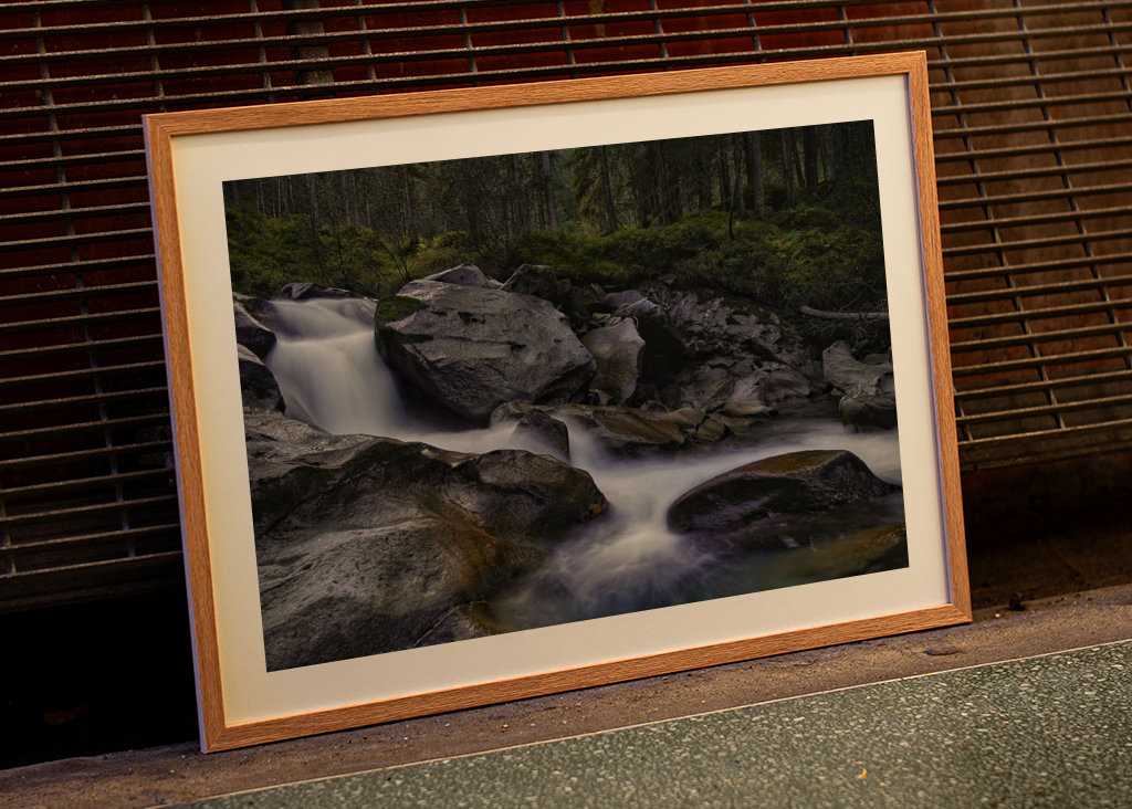 Österrike River vacker skog