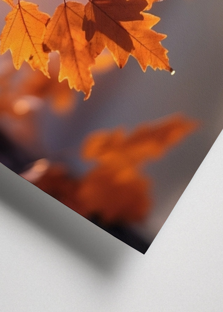 Herbstblätter im Sonnenlicht