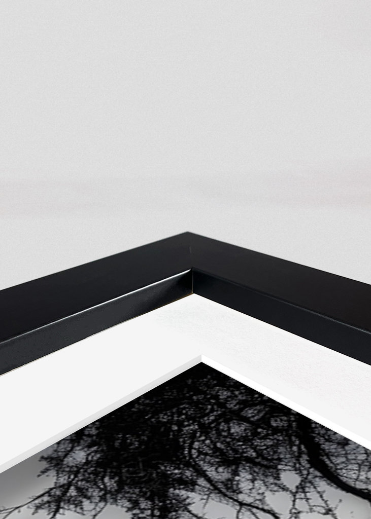 Éléphant à l’état sauvage