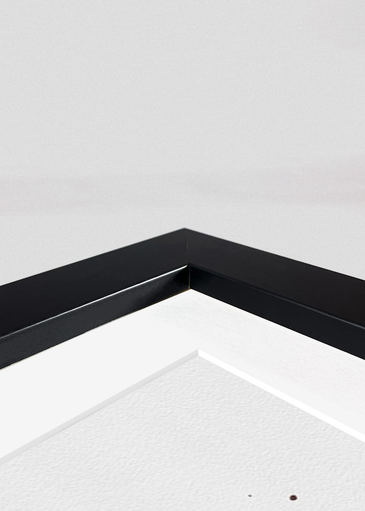 Beauty and the Beast Poster 