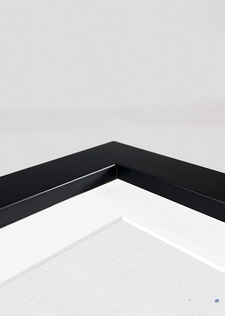 Cenerentola e il principe azzurro