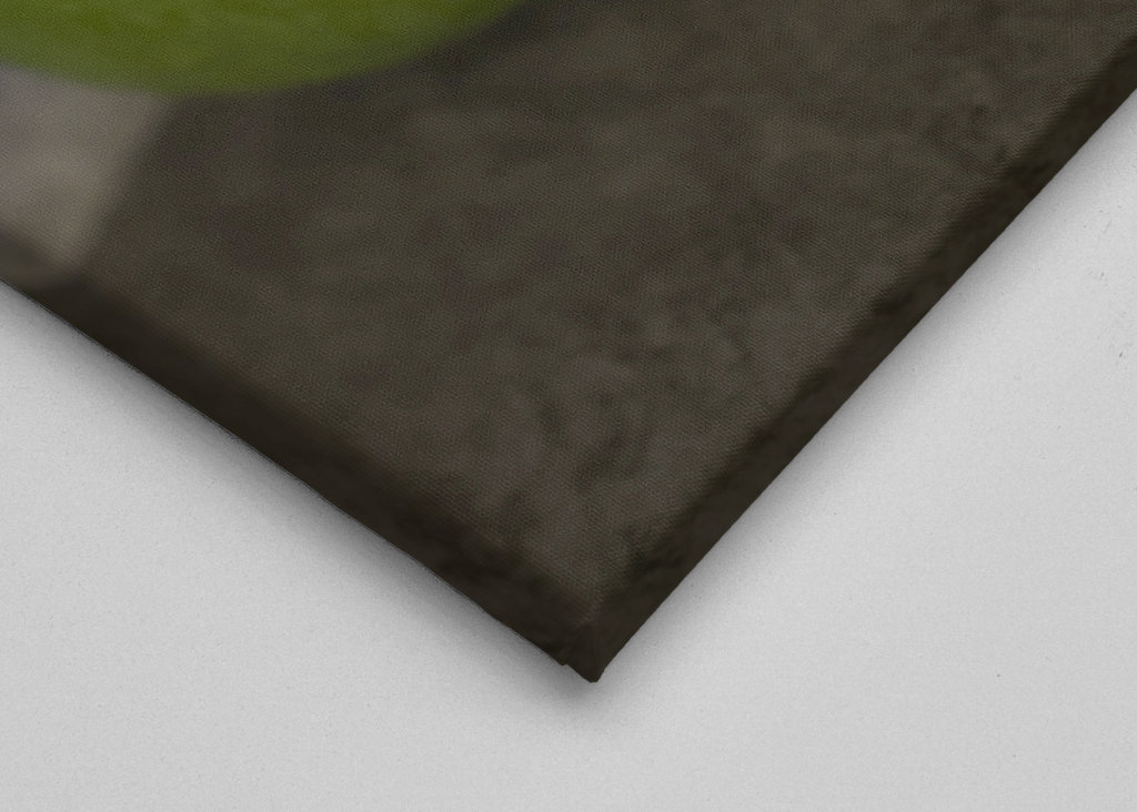 Ovoce na zimním slunci