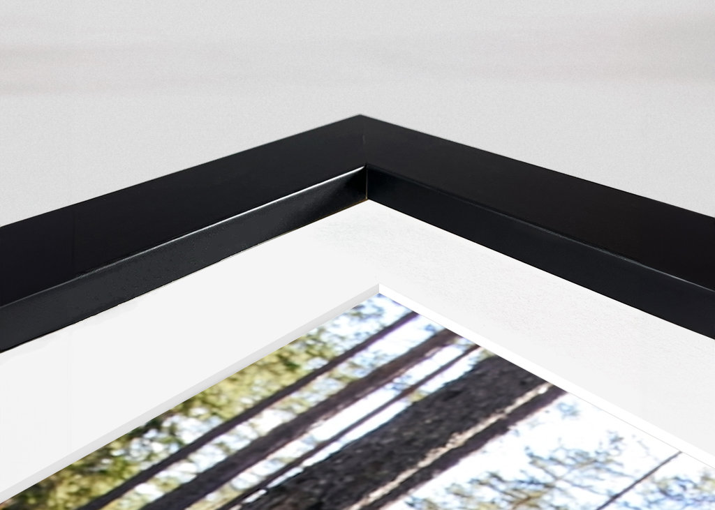 O Reino dos Cogumelos